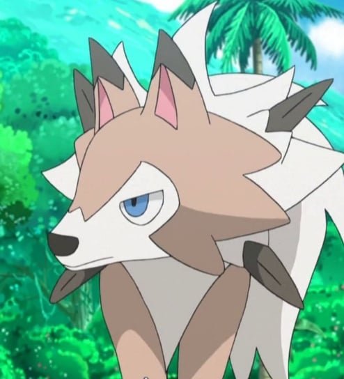 Rockruff Tiến Hóa: Tất Cả Dạng Lycanroc