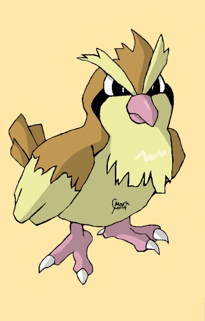 img_20200702_211100 Khám phá Poppo: Chim bồ câu đáng yêu của thế giới Pokémon