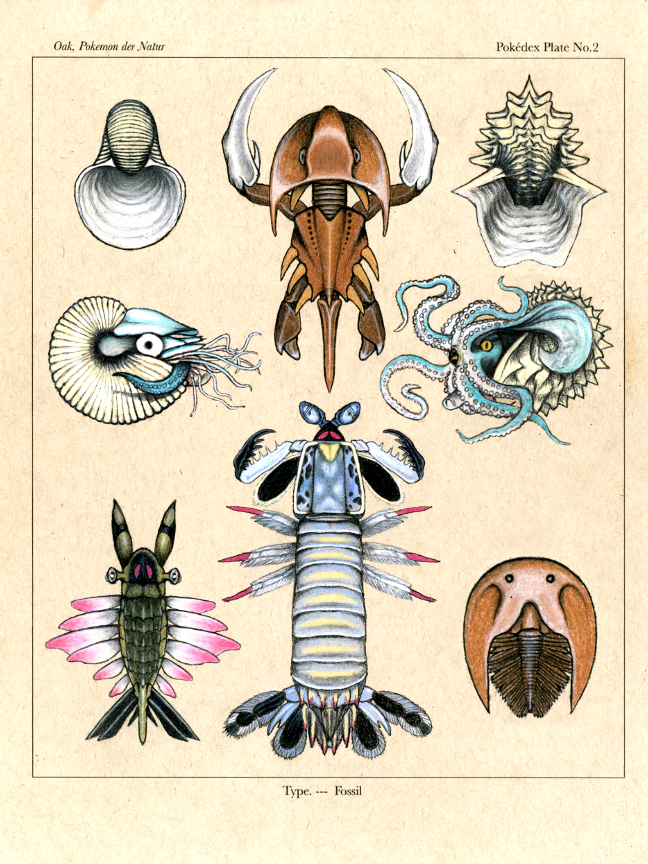 iqns4nv0evmz-1-1 Omanyte: Thông Tin Chi Tiết Về Pokemon Hóa Thạch Ốc Anh Vũ