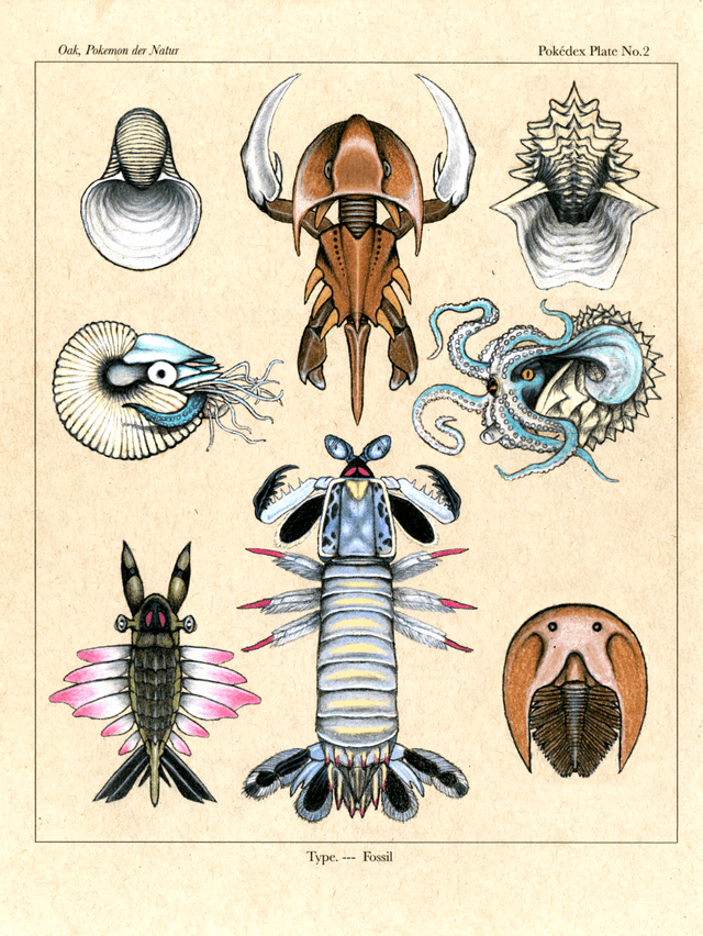 iqns4nv0evmz-1 Omanyte: Thông Tin Chi Tiết Về Pokemon Hóa Thạch Ốc Anh Vũ