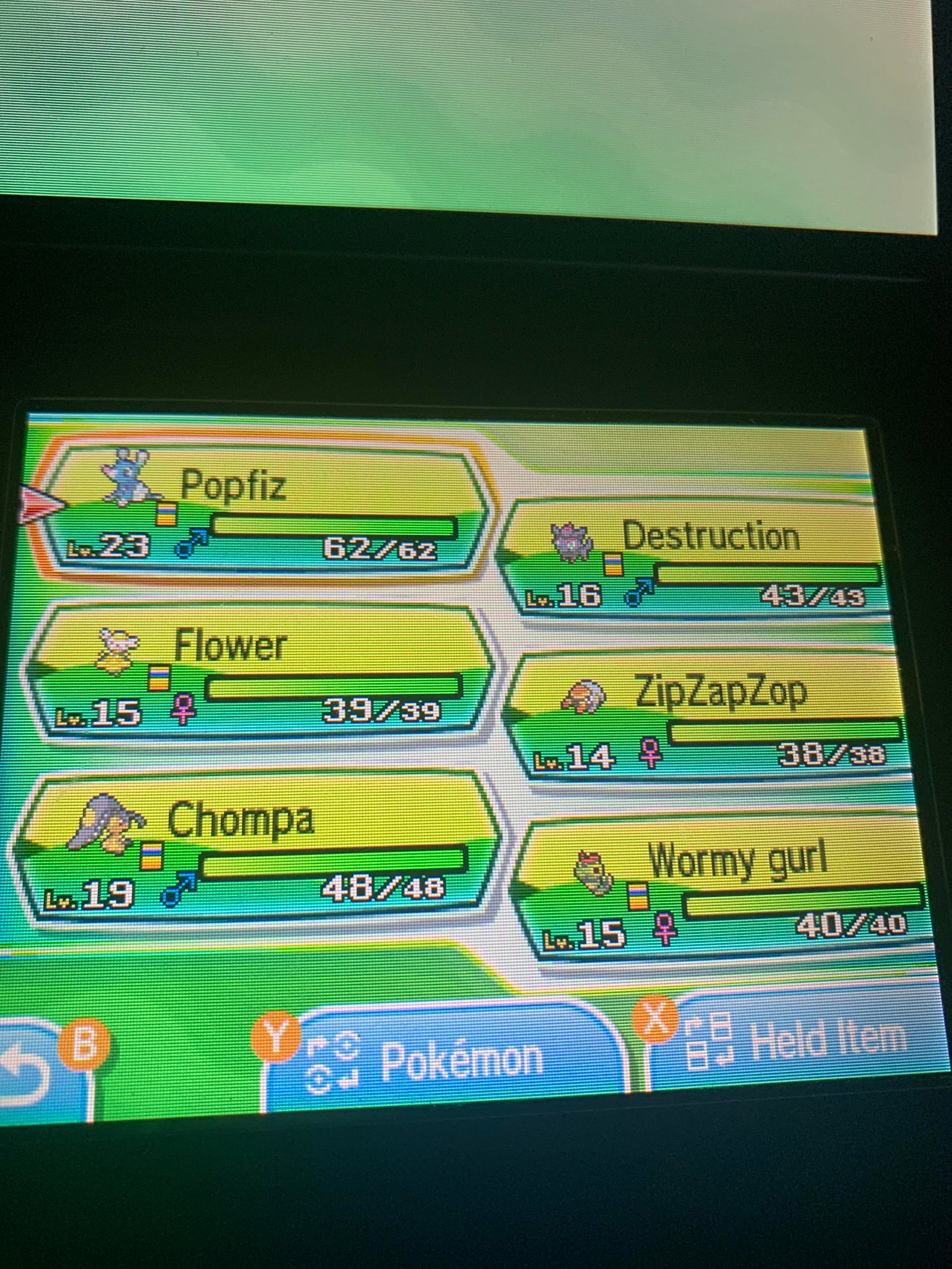 Araquanid: Thông tin chi tiết về Pokemon Hệ Nước Bọ