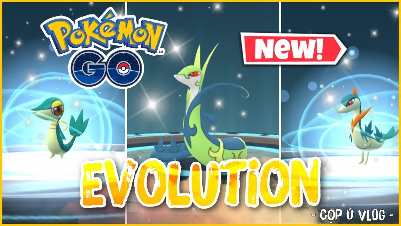Snivy evolve: Chi tiết quá trình tiến hóa