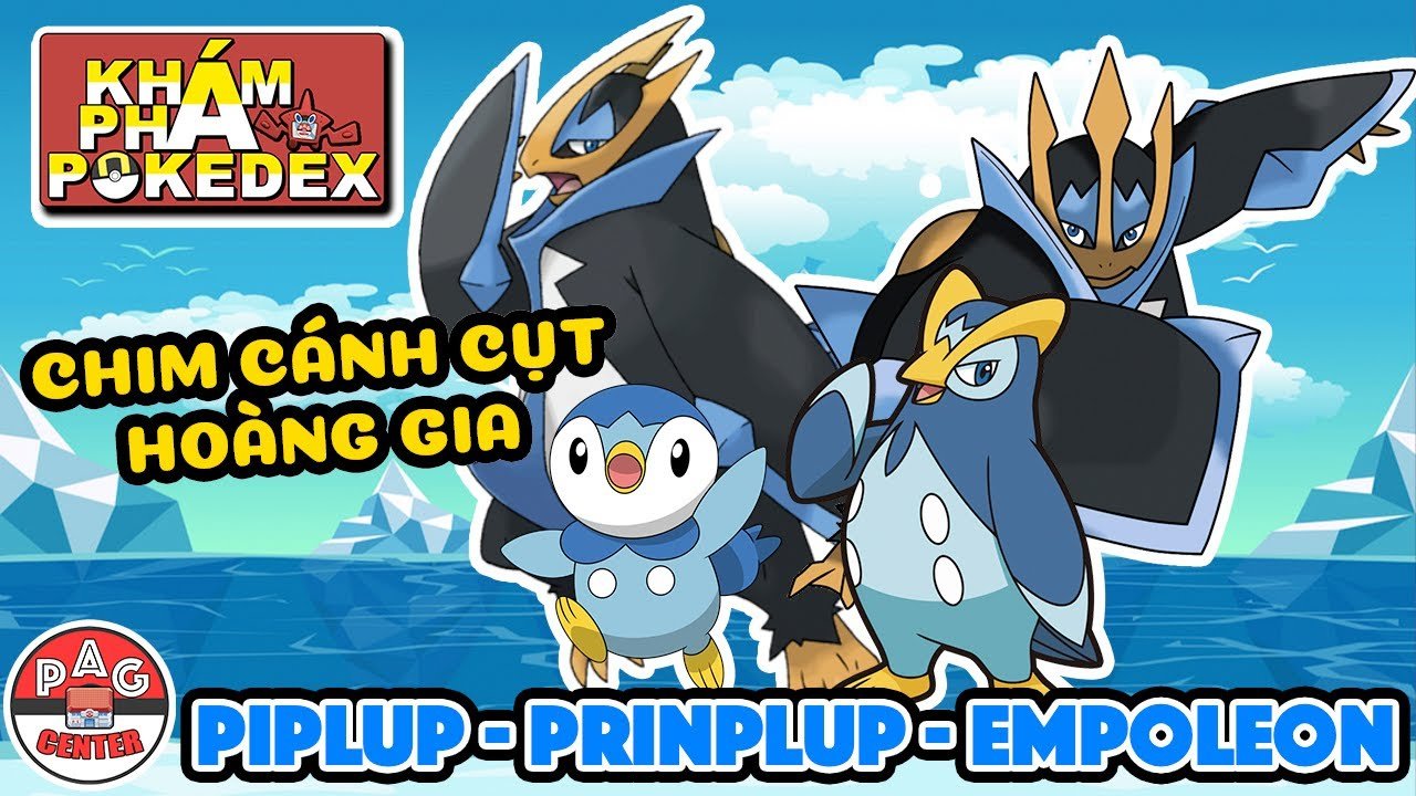 Piplup Pokemon: Khám Phá Chi Tiết Loài Chim Cụt Nước