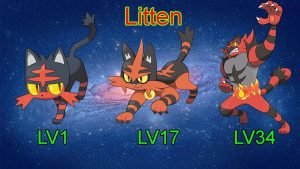Mèo Lửa: Tìm hiểu Pokemon Litten, Torracat, Incineroar