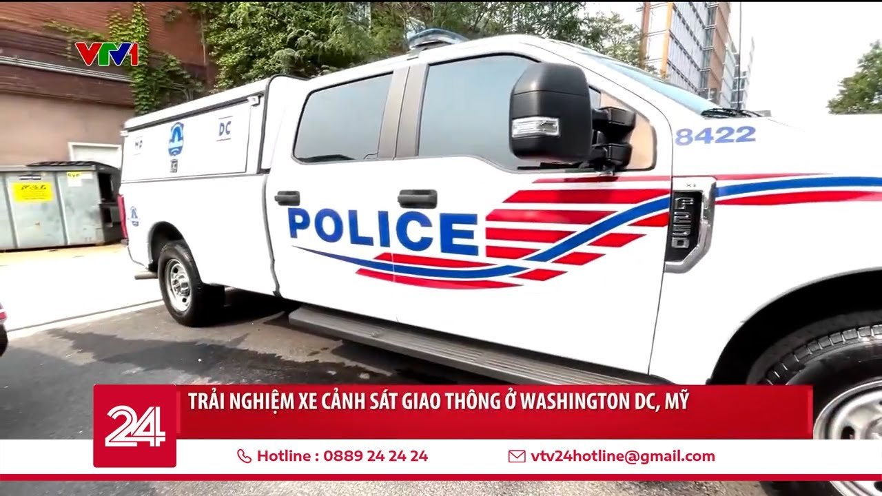 maxresdefault-32 Lizardon: Thông Tin Chi Tiết Về Biểu Tượng Rồng Lửa