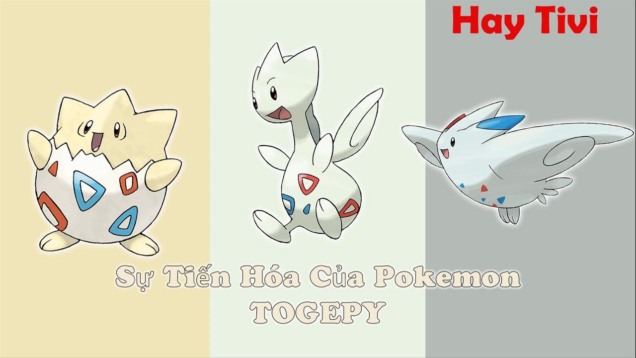Cách Tiến Hóa Togekiss Chi Tiết Từ A Đến Z
