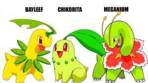 Pokemon Hệ Thường: Đặc Điểm, Sức Mạnh Và Ý Nghĩa