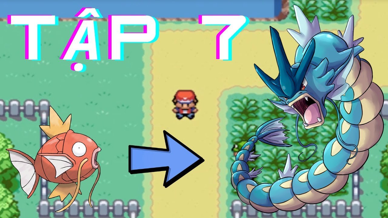 Cấp Độ Tiến Hóa Của Magikarp: Từ Cá Yếu Nhất Thành Rồng Biển Khủng Khiếp