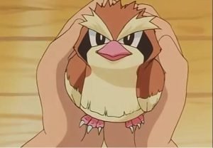 Khám phá Poppo: Chim bồ câu đáng yêu của thế giới Pokémon