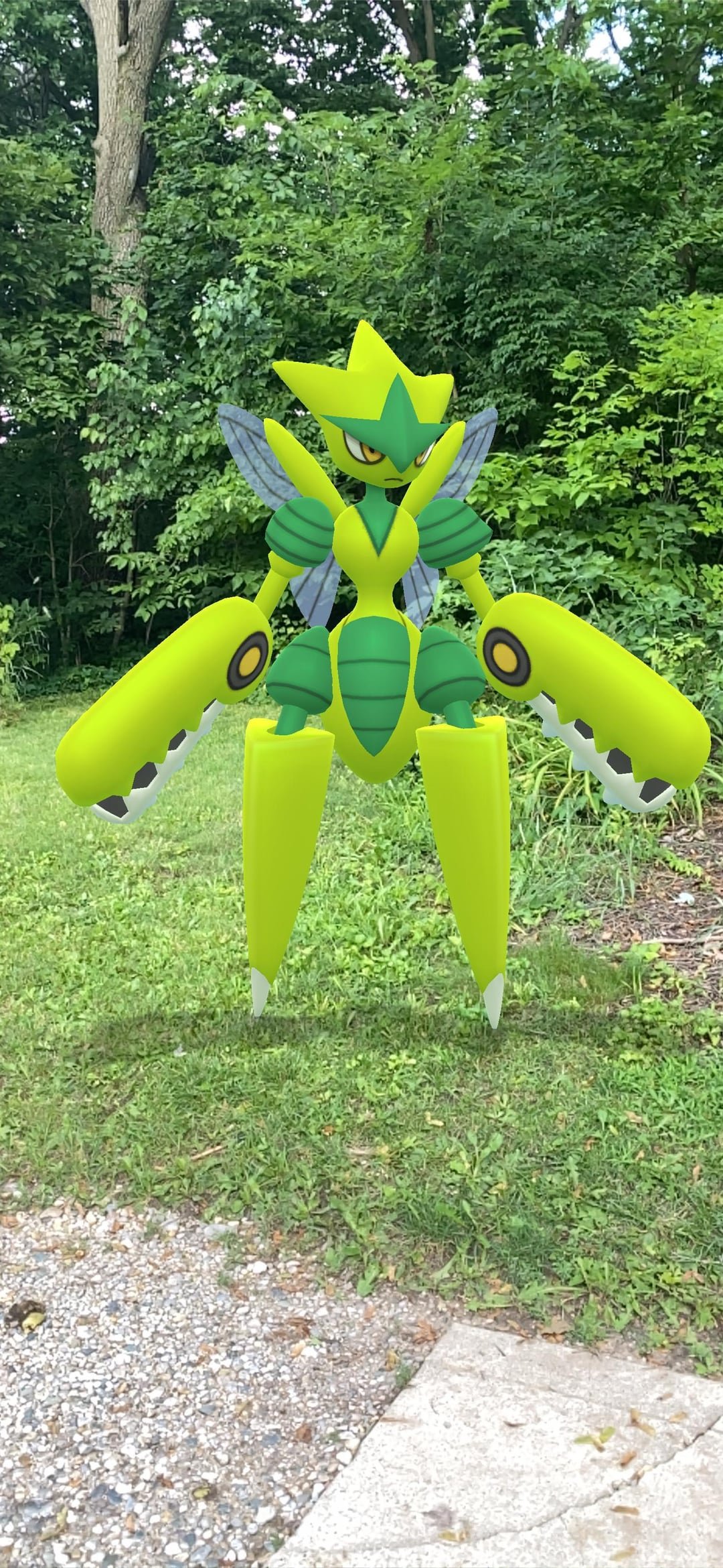 Scizor Pokémon: Chi tiết về Bọ Sắt mạnh mẽ