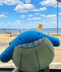 Wailmer Doll: Tìm hiểu về món đồ chơi đáng yêu