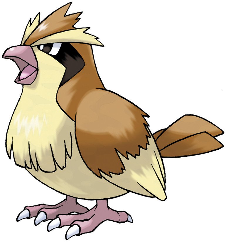 Pidgey: Tất tần tật về loài chim non Pokemon