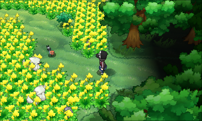 Khám Phá Pokemon Village XY: Ngôi Làng Bí Ẩn Dành Cho Pokemon Hoang Dã