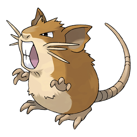 Raticate: Thông tin chi tiết về Pokémon Chuột Lớn
