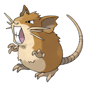 Raticate: Thông tin chi tiết về Pokémon Chuột Lớn