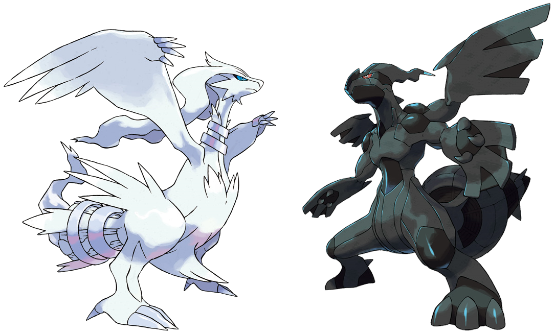 Pokemon Reshiram và Zekrom: Biểu Tượng Unova