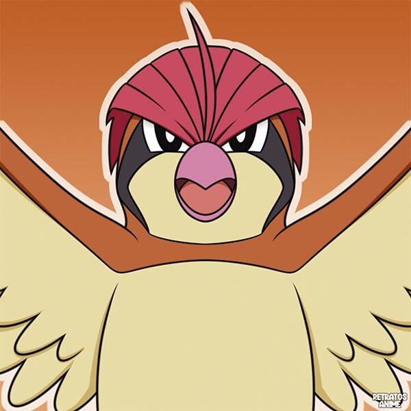 Pidgeotto Trong Thế Giới Anime Pokémon