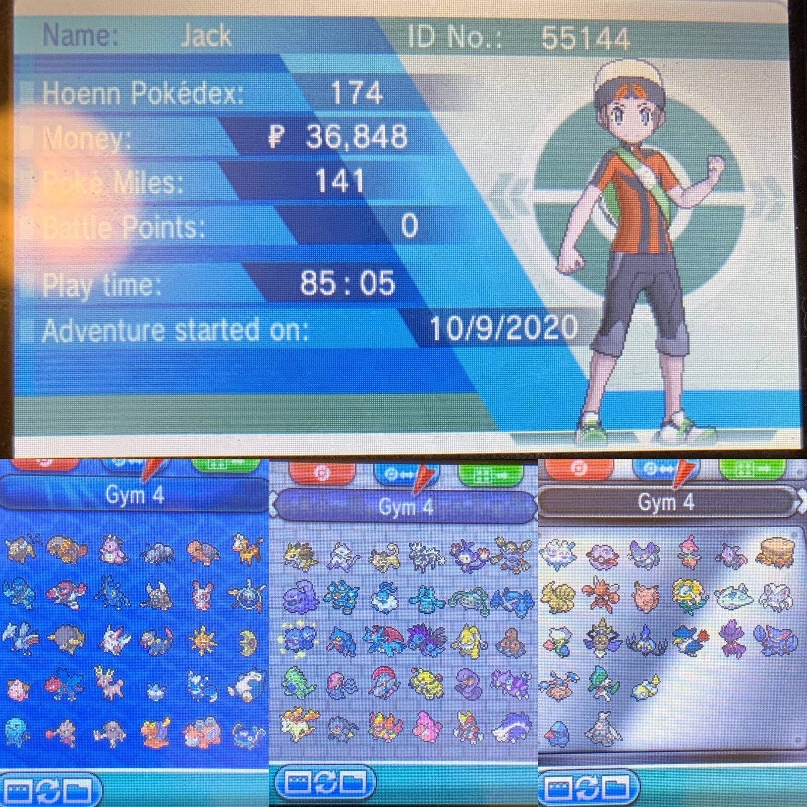 Tổng hợp Pokemon Chim Xanh Phổ Biến Nhất