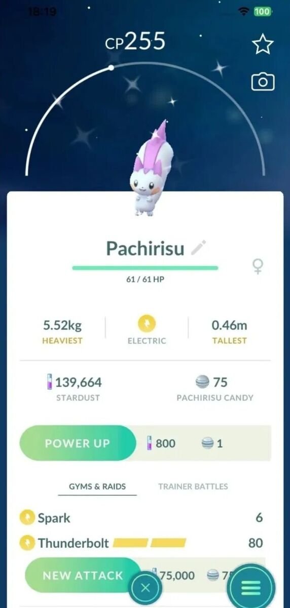 s-l1200-38 Pachirisu Pokemon Go: Tất Tần Tật Về Sóc Điện Hiếm Gặp