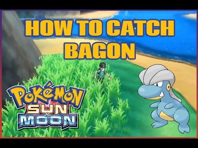 Thông Tin Chi Tiết Về Pokemon Bagon
