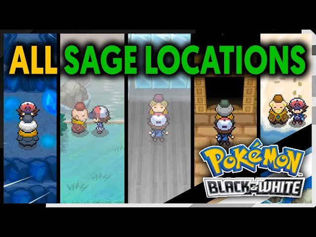Pokemon White: Giải mã Bảy Nhà Hiền Triết (Seven Sages)