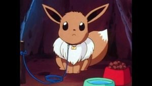 Tổng hợp những eevee episode đáng xem trong Pokemon