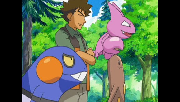 Khám Phá Thế Giới Các Loại Pokemon Chim Tuyệt Đẹp