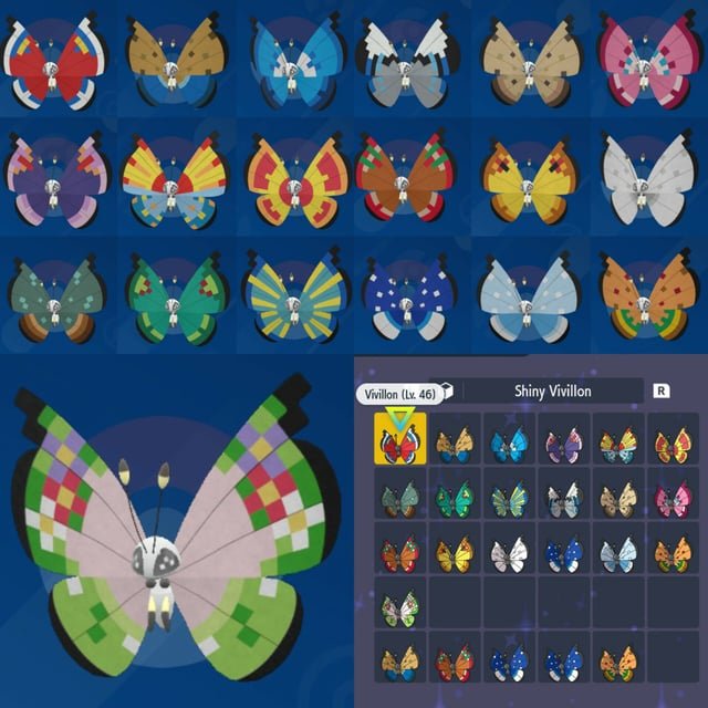 Vivillon Pokémon: Bướm Đa Sắc & Bí Ẩn Hoa Văn