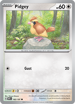 Pidgey: Tất tần tật về loài chim non Pokemon