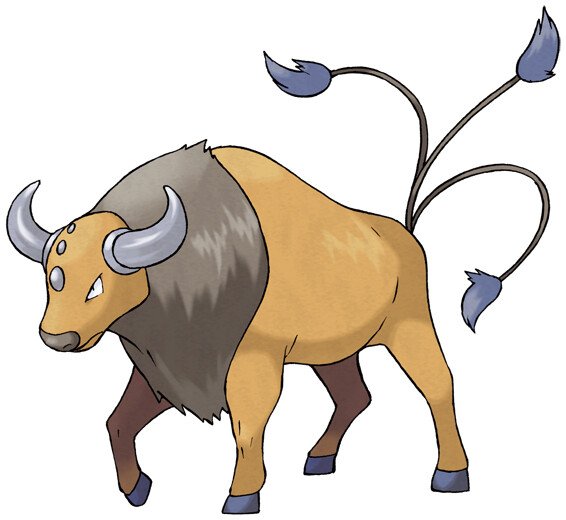 Tauros Pokemon: Đặc điểm, chỉ số và các hình thái
