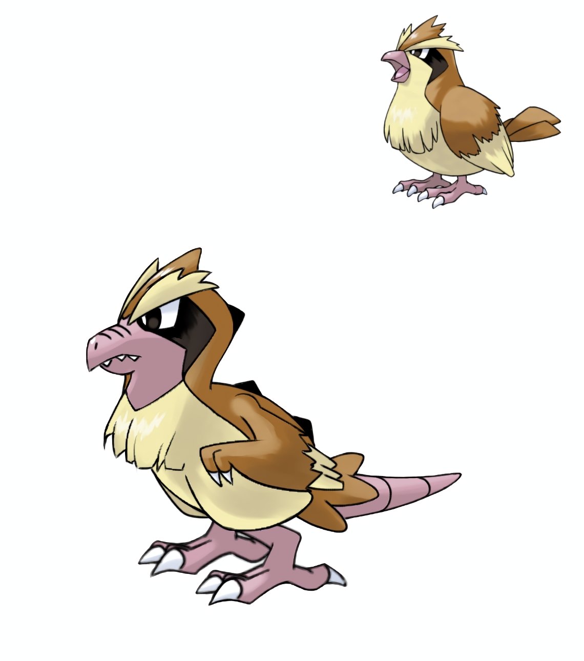 Tổng Quan Chi Tiết Về Pokemon Pidgey