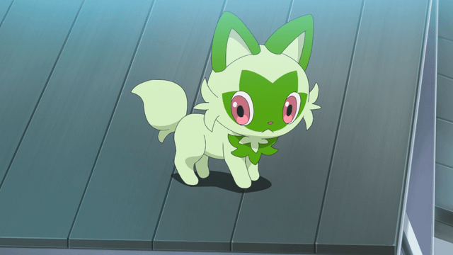 Tìm hiểu Sprigatito: Pokemon Khởi Đầu Hệ Cỏ Đáng Yêu