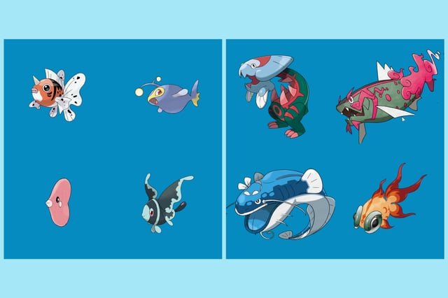 Khám Phá Pokémon Finneon: Loài Cá Cảnh Đại Dương Tuyệt Đẹp