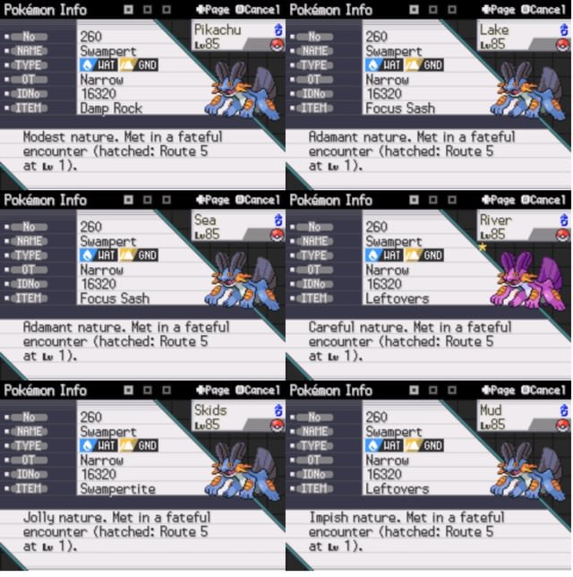 Swampert: Thông Tin Chi Tiết Về Pokémon Hệ Nước Đất