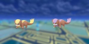 Thông tin chi tiết về Pokemon Yungoos