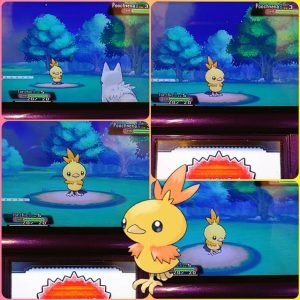 Torchic Pokemon: Thông tin chi tiết về Gà Lửa
