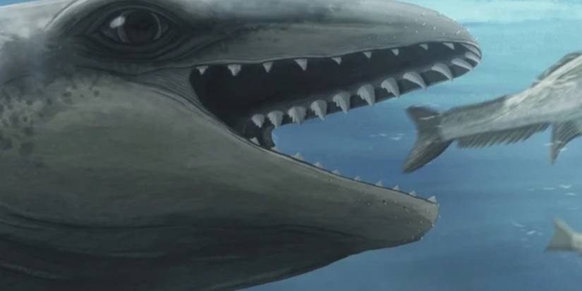 Janjucetus dullardi hộp sọ hóa thạch cá voi cổ đại giống Pokémon Kyogre