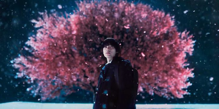 5 Centimeters Per Second Live-Action: Kiệt Tác Chuyển Thể Đầy Cảm Xúc