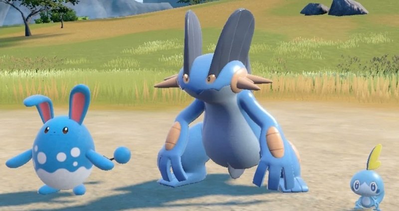 Swampert 17