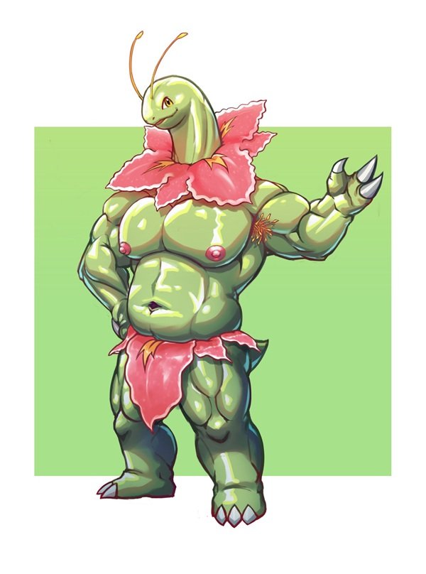 meganium 15