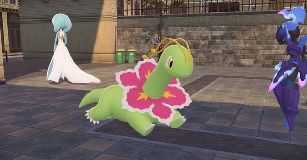meganium 18