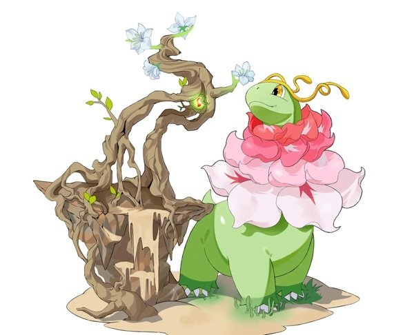 meganium 20