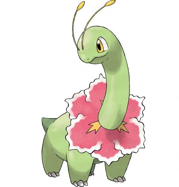 meganium 24