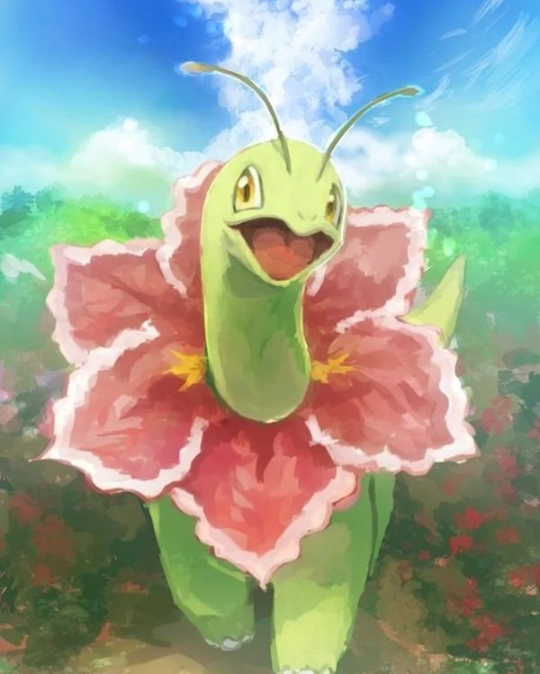 meganium 26