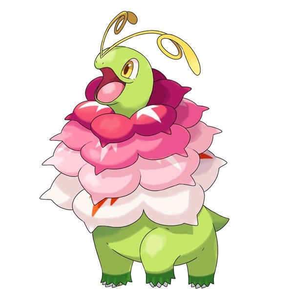meganium 5