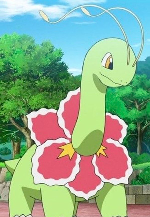 meganium 9