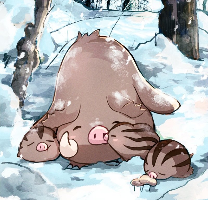 piloswine 13