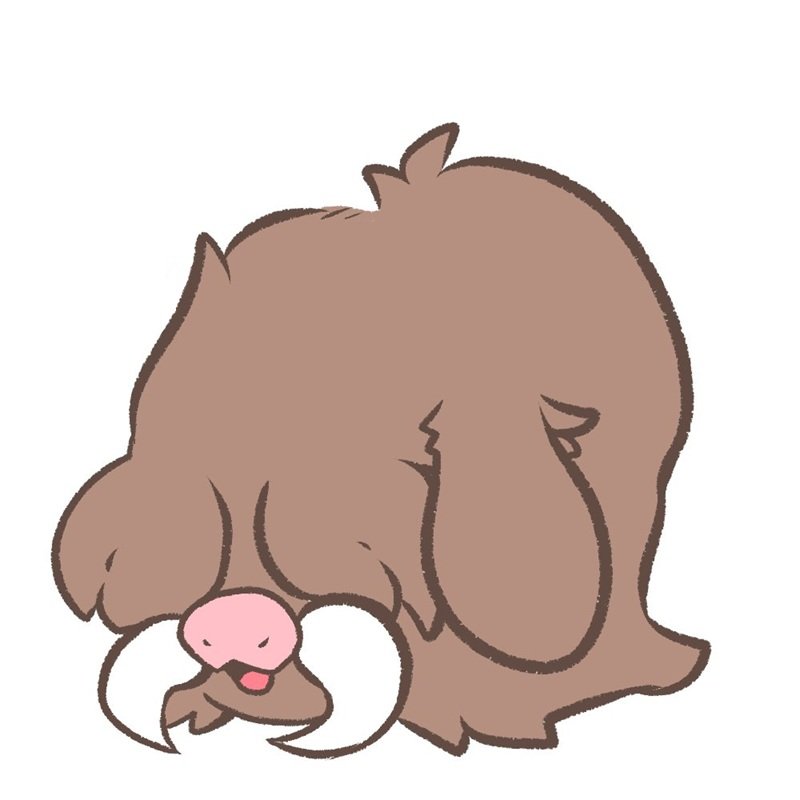 piloswine 2