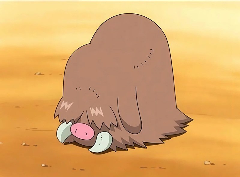 piloswine 21
