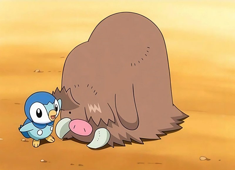 piloswine 22